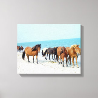 Toile Chevaux Assateague National Sea Shore Maryland