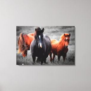 Toile Chevaux Dans Le Champ Partiel Photographie Couleur