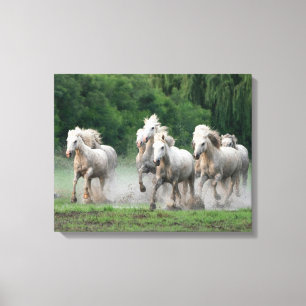 Toile Chevaux de Camargue courant dans l'eau
