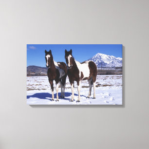 Toile Chevaux de peinture debout dans la neige