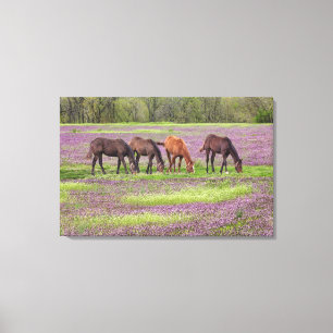Toile Chevaux de pur sang dans le domaine des fleurs de