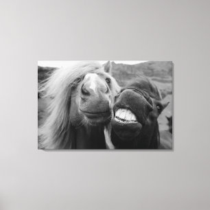 Toile Chevaux de sourire des images   de Getty