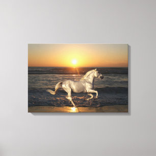 Toile Chevaux d'Imaginaire : Coucher du soleil