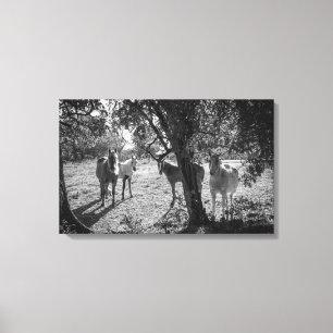 Toile Chevaux en campagne