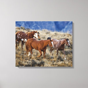 Toile Chevaux errant dans les collines