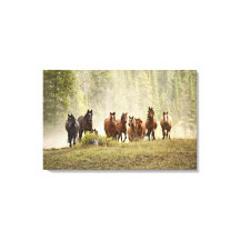 Chevaux franchissant une petite colline lors d'une