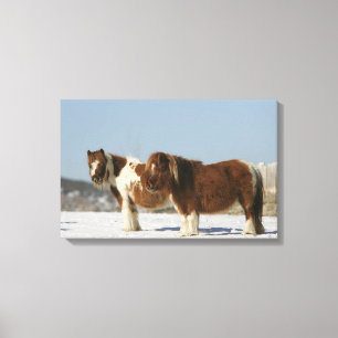 Toile Chevaux miniatures se tenant dans la neige