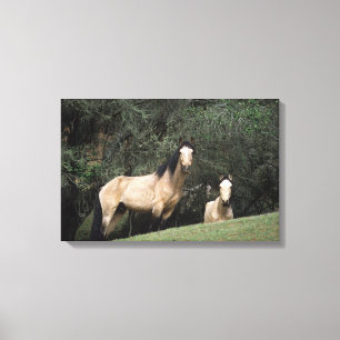 Toile Chevaux Mustang Sauvages 6