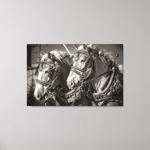 Toile Chevaux roux de Belgique