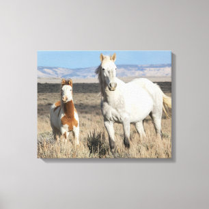 Toile Chevaux sauvages chez eux dans le bassin de Sandwa