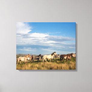 Toile Chevaux sauvages dans le parc national Theodore Ro