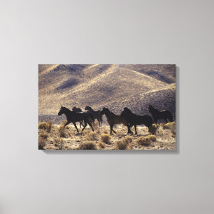 Toile Chevaux sauvages de mustang dans le désert 1