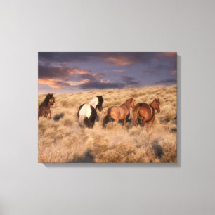 Toile Chevaux sauvages en course
