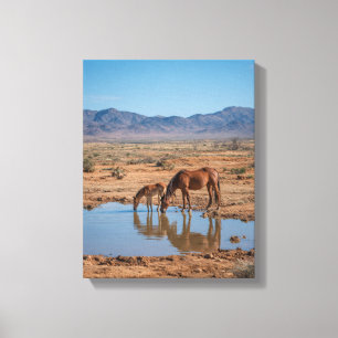 Toile Chevaux Sauvages Reflet d'Eau du Désert Art