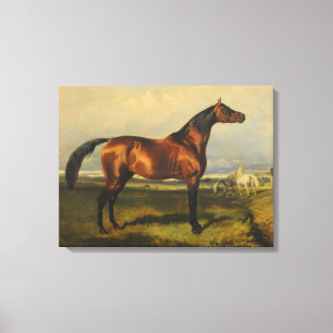 Toile Chevaux sauvages vintages par Alfred de Dreux