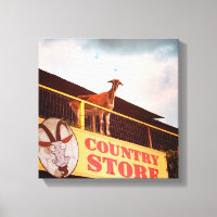 chèvre de magasin sur le toit