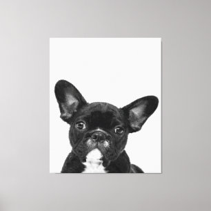 Toile Chien adorable Black French Bulldog Face