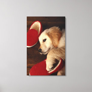 Toile Chien avec des chaussures allongé sur le parquet, 