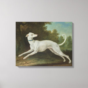 Toile Chien blanc gris (par Jean-Baptiste Oudry)
