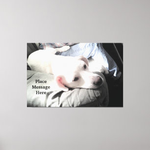 Toile Chien blanc mignon assis avec papa à la lumière du