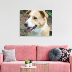 Toile Chien d'abri à faible polyvalence en laisse