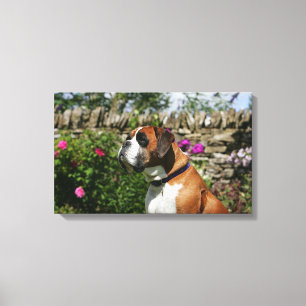 Toile Chien de boxe dans les fleurs