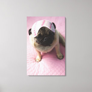 Toile Chien de carlin avec le masque d'oeil sur la tête