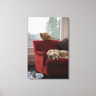 Toile Chien de golden retriever avec le chat tigré de