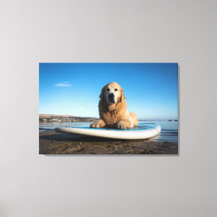 Toile Chien de golden retriever s'étendant sur un