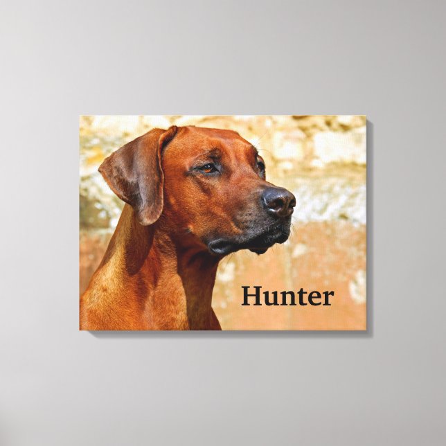 Toile Chien de Rhodesian Ridgeback (Recto)