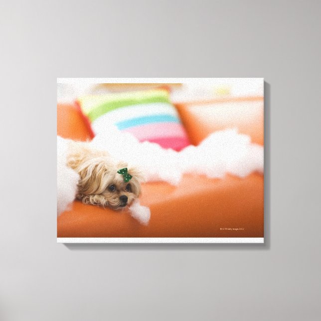 Toile Chien destructeur (Recto)