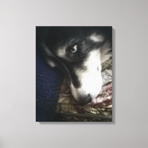 Toile Chien endormi