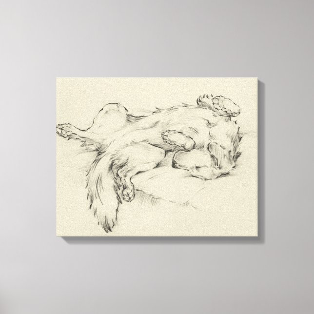 Toile Chien fatigué (Recto)