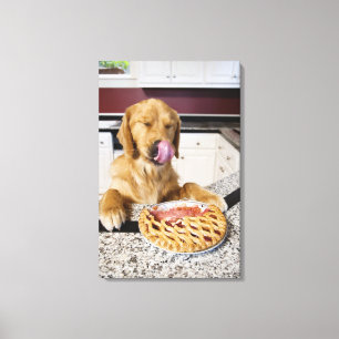 Toile Chien léchant le nez après avoir mangé la tarte