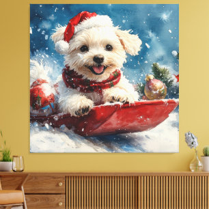 Toile Chien maltais dans la corniche laissez passer Noël