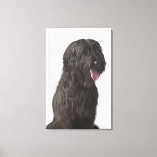 Toile Chien noir, Briard