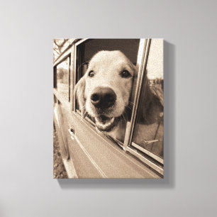 Toile Chien regardant dehors une fenêtre de voiture