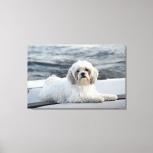 Toile Chien s'étendant par l'eau