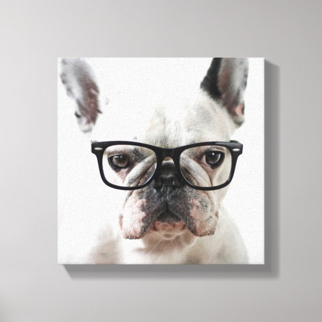 Toile Chien-taureaux français portant des lunettes d'oei (Recto)