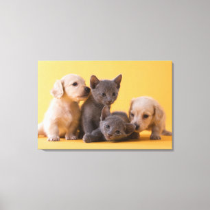 Toile Chiens bleu russe et Chiens de poche