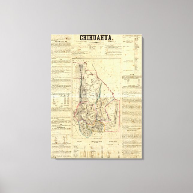 Toile Chihuahua, Mexique (Recto)