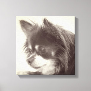 Toile Chihuahua Portrait de chien