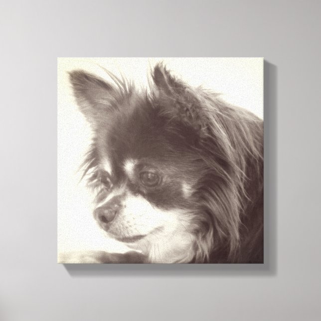 Toile Chihuahua Portrait de chien (Recto)