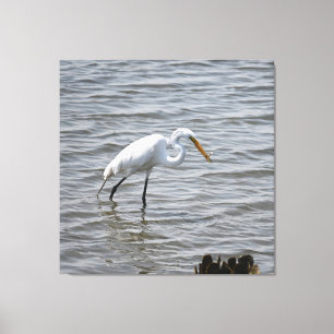 Toile Chincoteague National Wildlife Great Heron Egret
