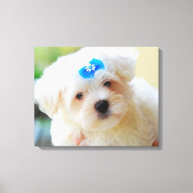 Toile Chiot (Recto)
