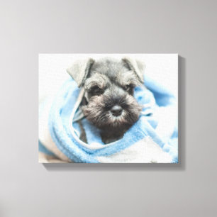 Toile Chiot après Bath