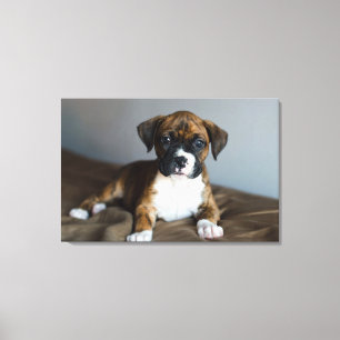 Toile Chiot Brindle de boxeur