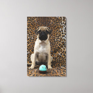 Toile Chiot de carlin se reposant contre le poster de