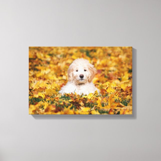 Toile Chiot Goldendoodle En Feuilles Automnes (Recto)