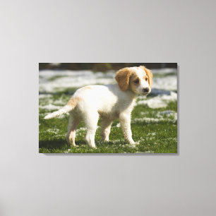 Toile Chiot jouant dans la neige
